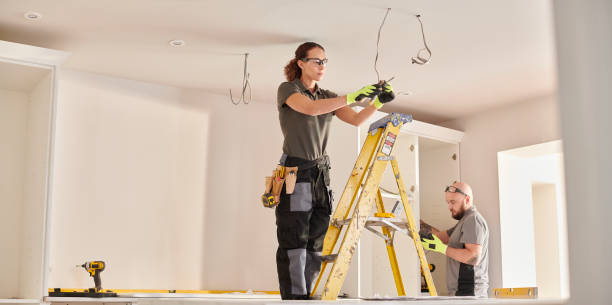 Best Electric Panel Repair  in Mishawaka, IN